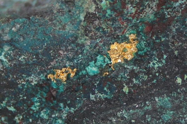 Gold - Image 7