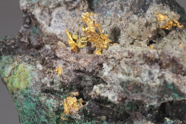 Gold - Image 7