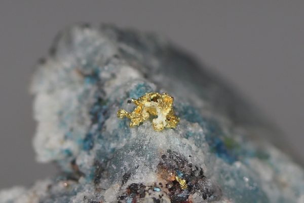 Gold - Image 7
