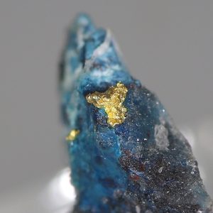 Gold, shattuckite