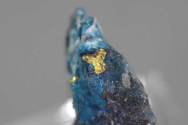 Gold, shattuckite