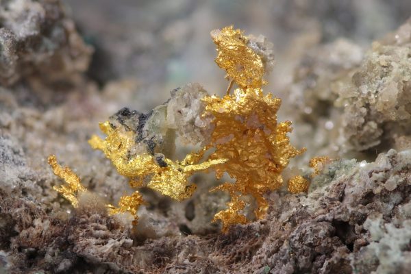 Gold - Image 11