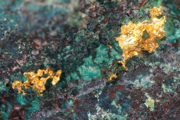 Gold - Image 8