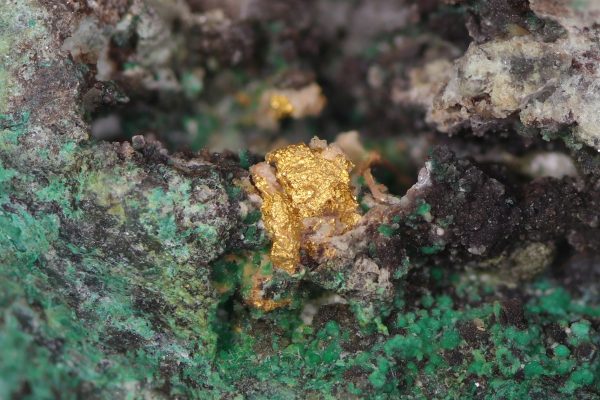 Gold - Image 12