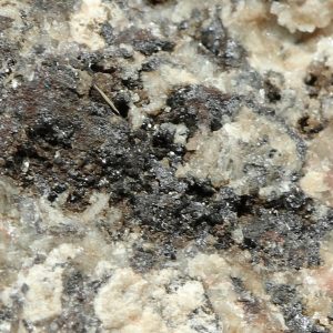 Cechite