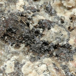 Cechite