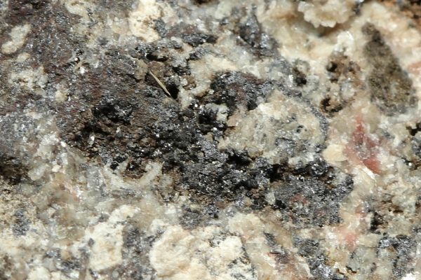 Cechite