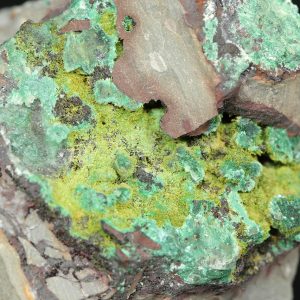 Volbortite, malachite