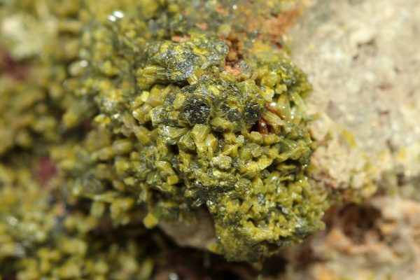 Pyromorphite - Image 7
