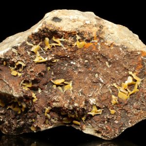 Wulfenite
