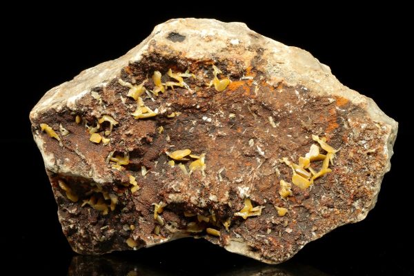 Wulfenite
