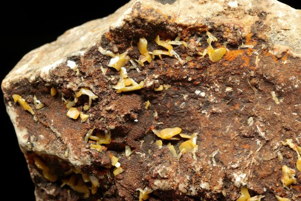 Wulfenite - Image 5