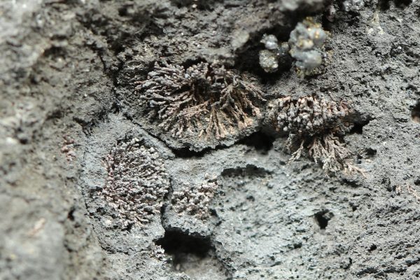 Proustite, argentopyrite, arsenic, silver - Image 10