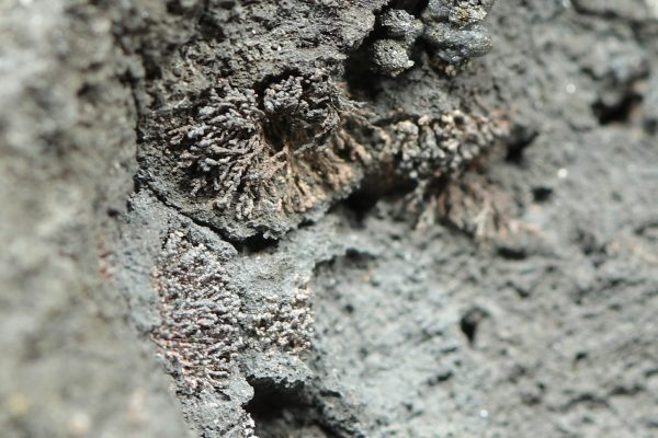 Proustite, argentopyrite, arsenic, silver - Image 11