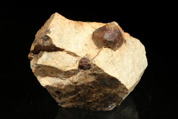 Garnet - Image 2