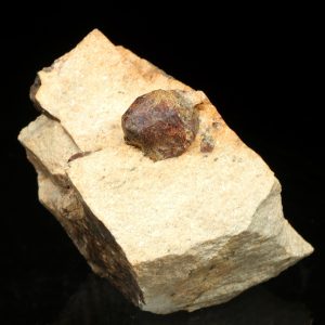 Garnet