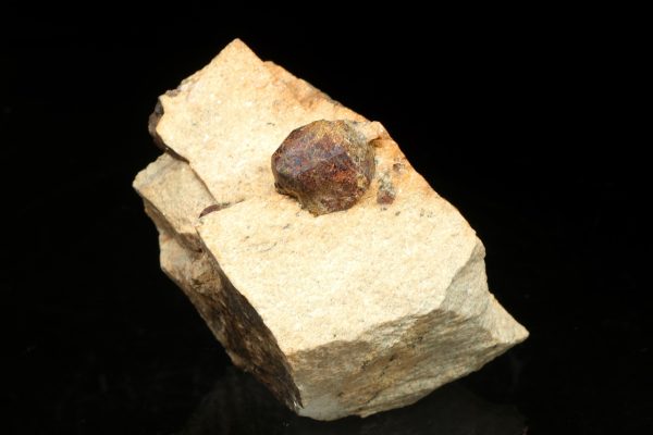 Garnet