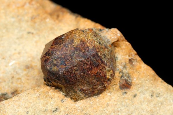 Garnet - Image 4