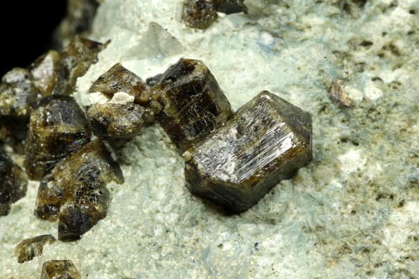 Wiluite - Image 7