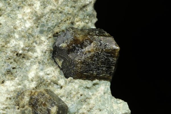 Wiluite - Image 8