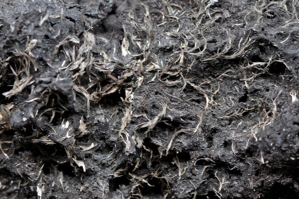 Dyscrasite, arsenic - Image 6