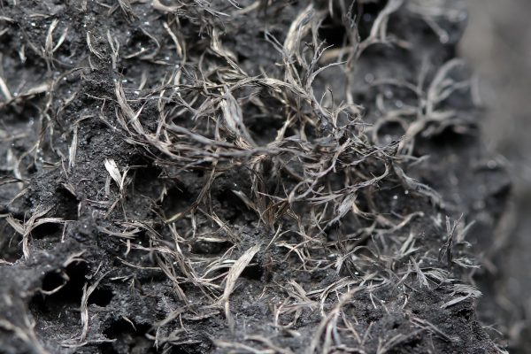 Dyscrasite, arsenic - Image 8