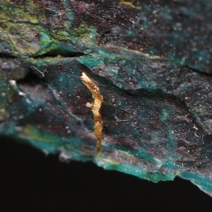 Gold, shattuckite