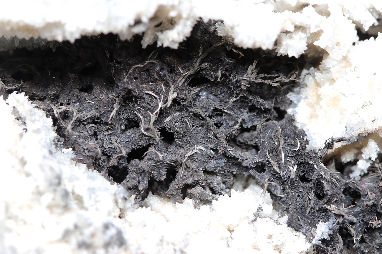 Dyscrasite, arsenic - Image 5