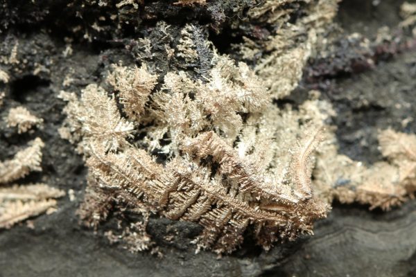 Silver, arsenic - Image 9