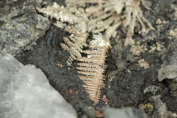 Silver, arsenic - Image 10