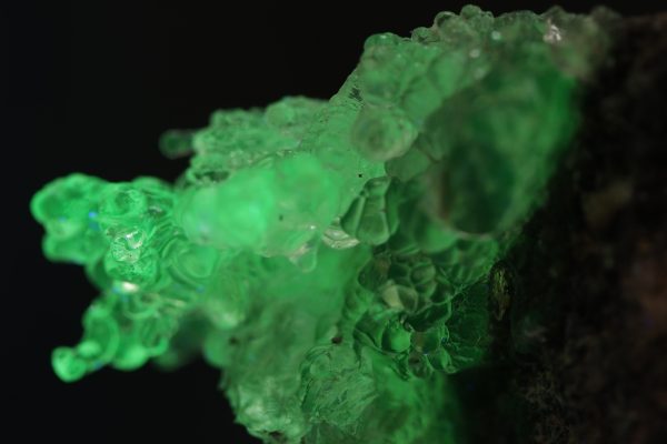 Hyalite - Image 2