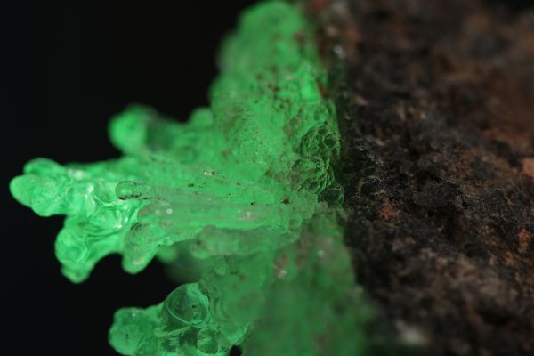 Hyalite - Image 3