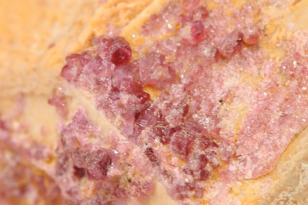 Rubellite - Image 7