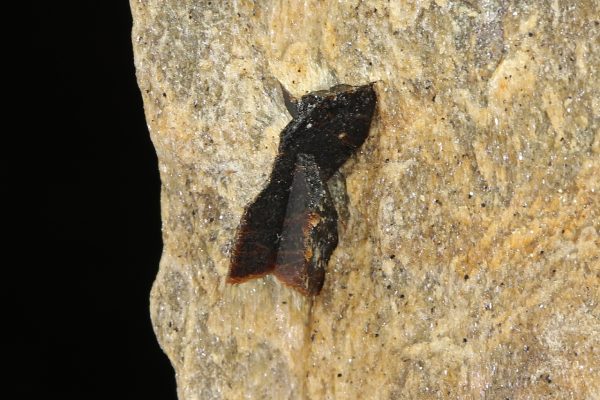 Staurolite - Image 5
