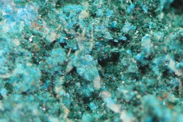 Lammerite