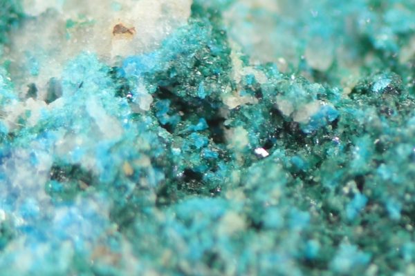 Lammerite - Image 6