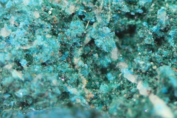 Lammerite - Image 7