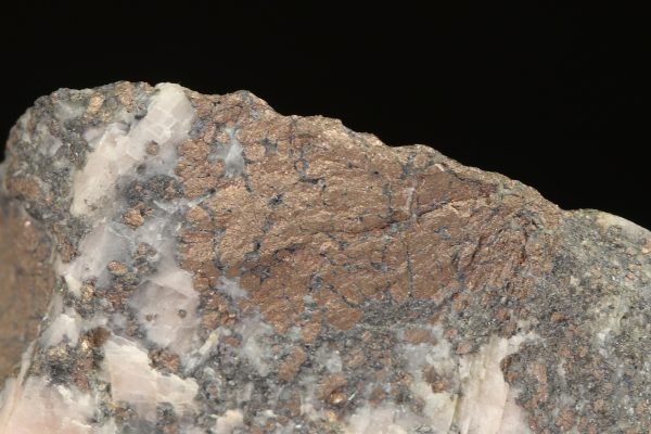 Nickeline - Image 8