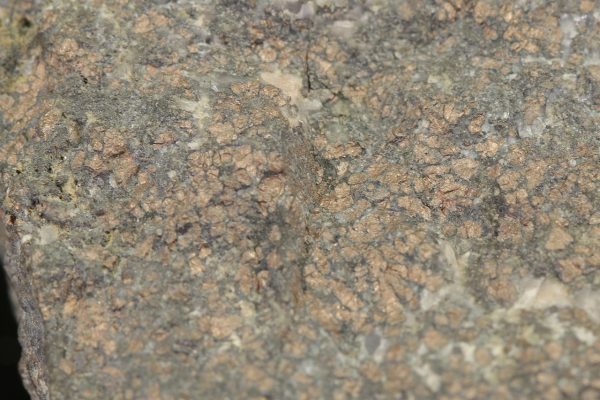 Nickeline - Image 9