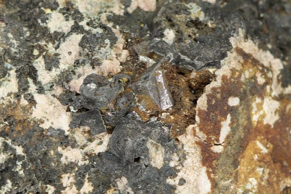 Silver, argentite, skutterudite - Image 7