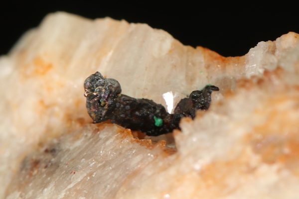 Copper - Image 5