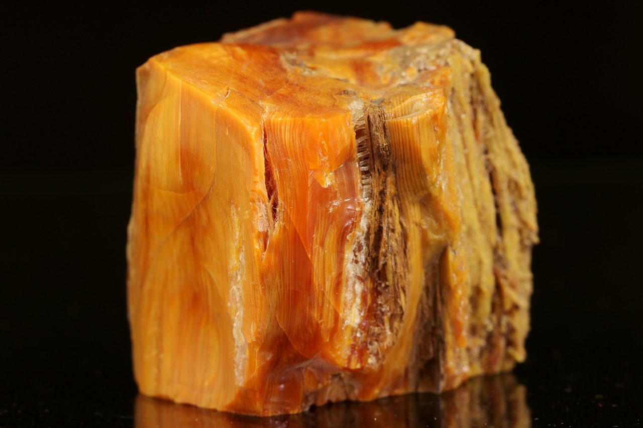 Wood Opal - Image 7
