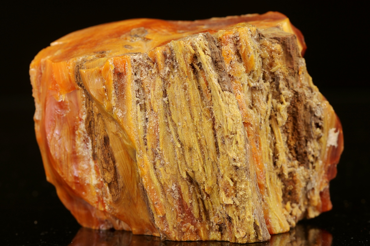 Wood Opal - Image 9