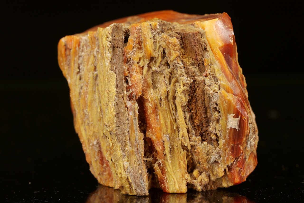 Wood Opal - Image 10