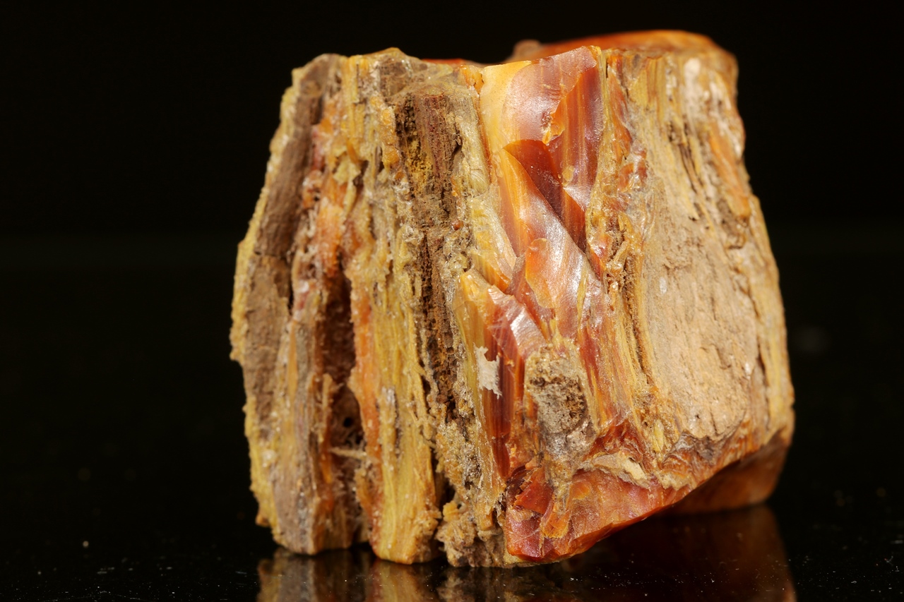 Wood Opal - Image 11