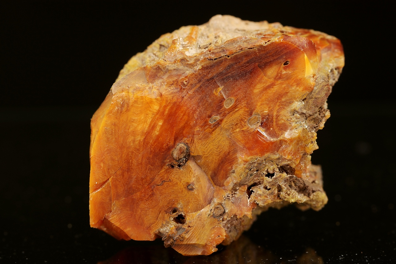 Wood Opal - Image 4