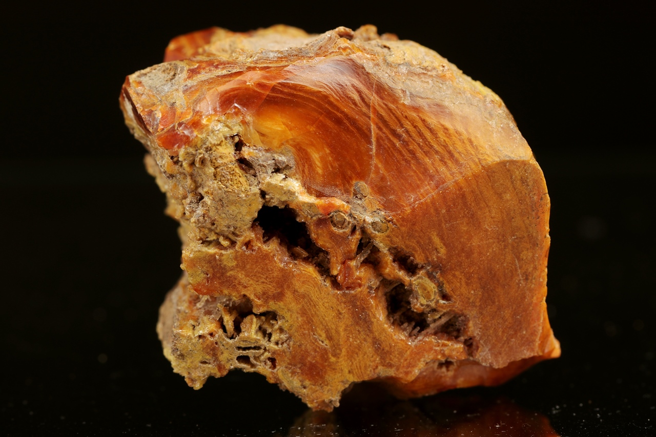 Wood Opal