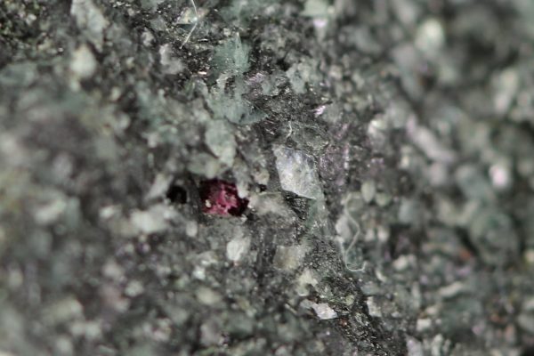 Naujakasite - Image 5
