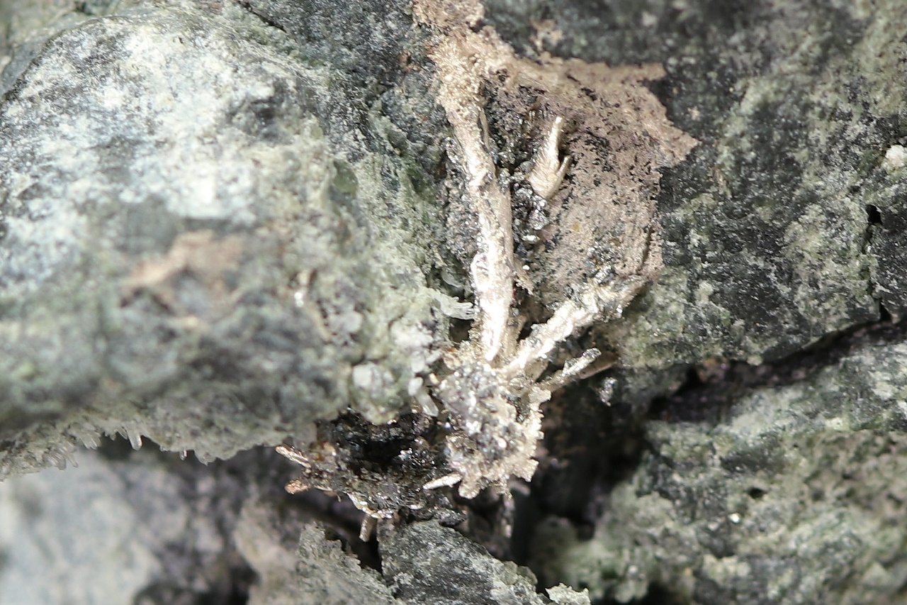 Silver, löllingite - Image 7