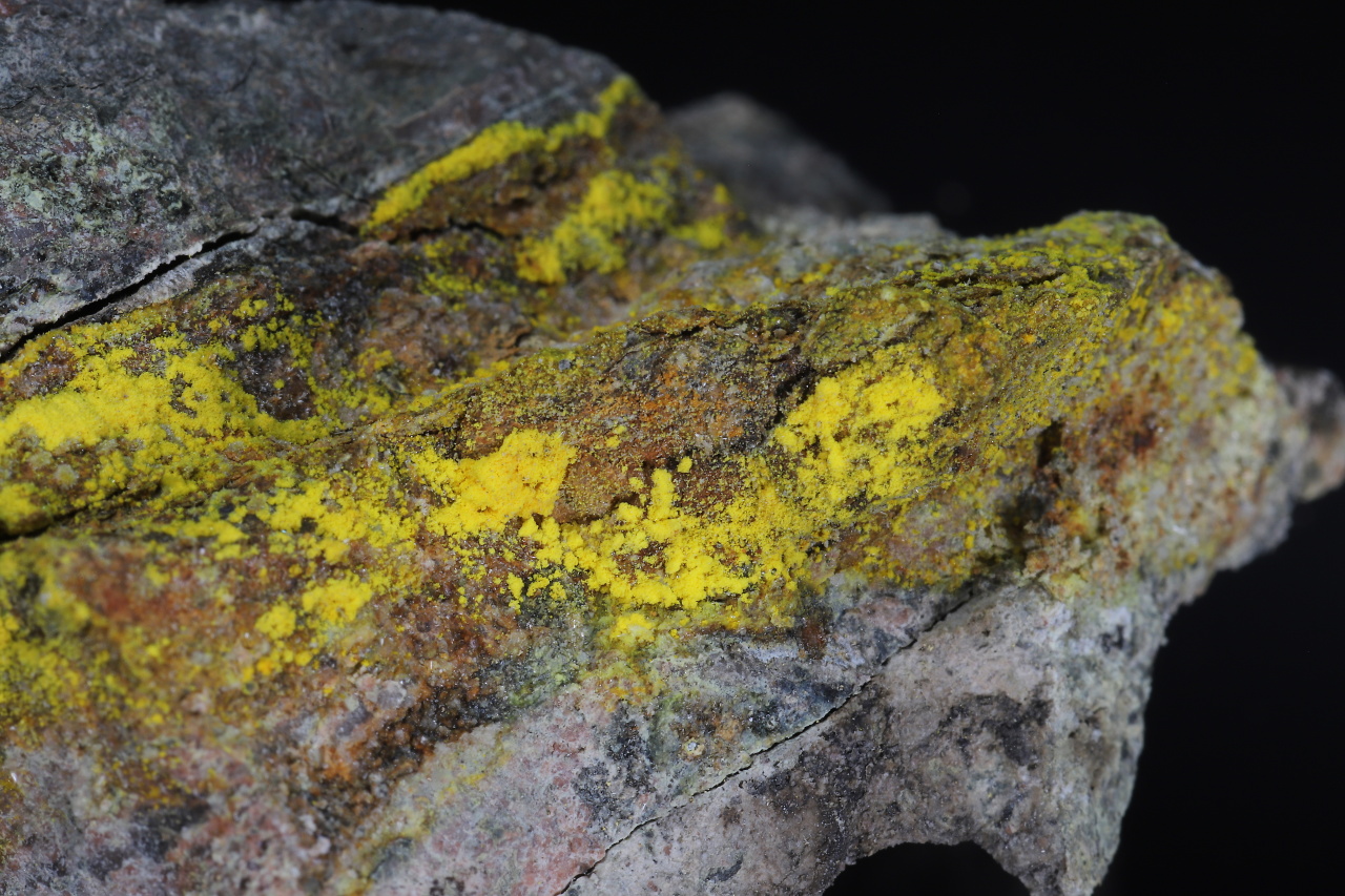 Natrozippeite - Image 5